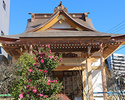 アクセス